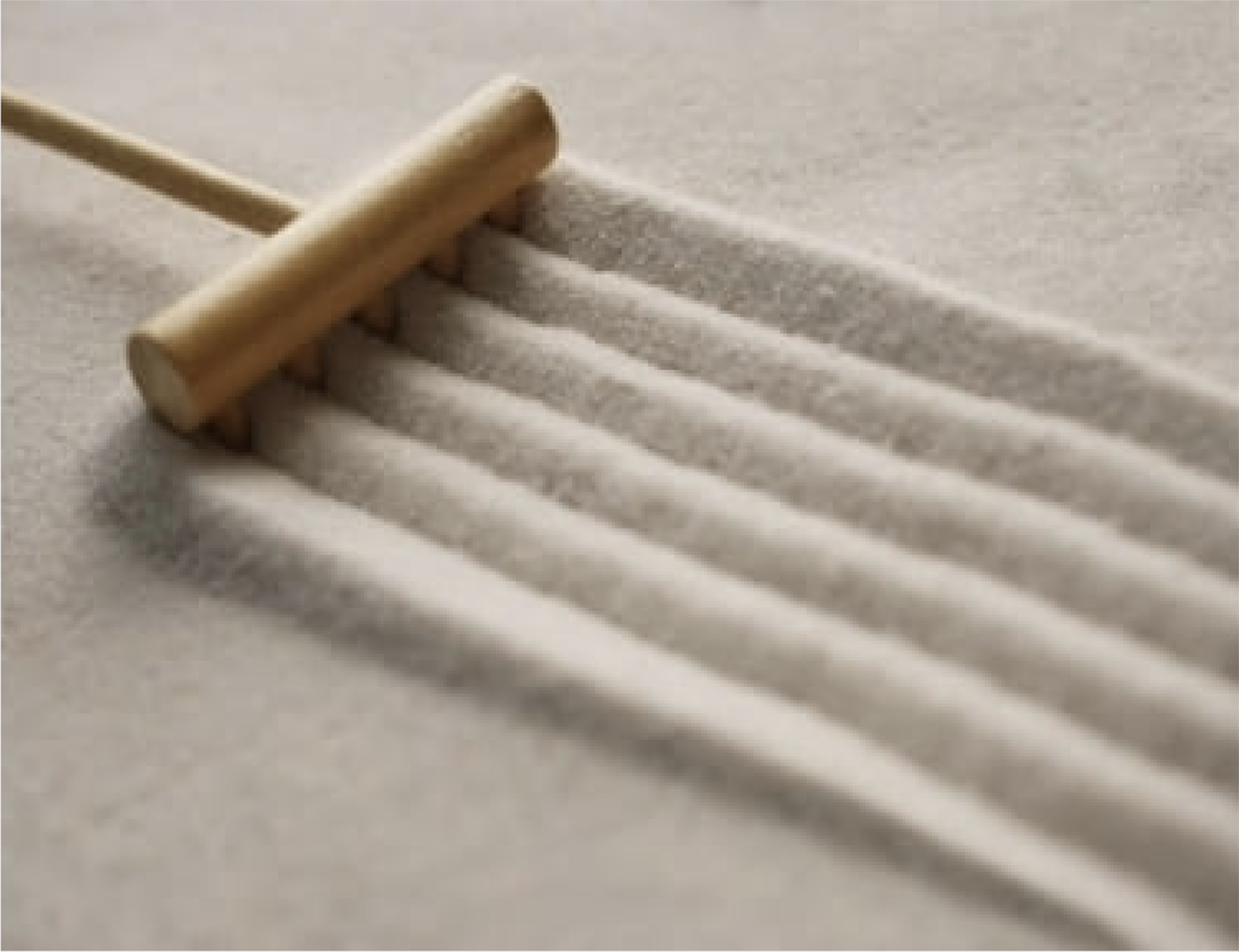 Salt lines